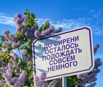 «Демидовская сирень» международный мемориальный фестиваль